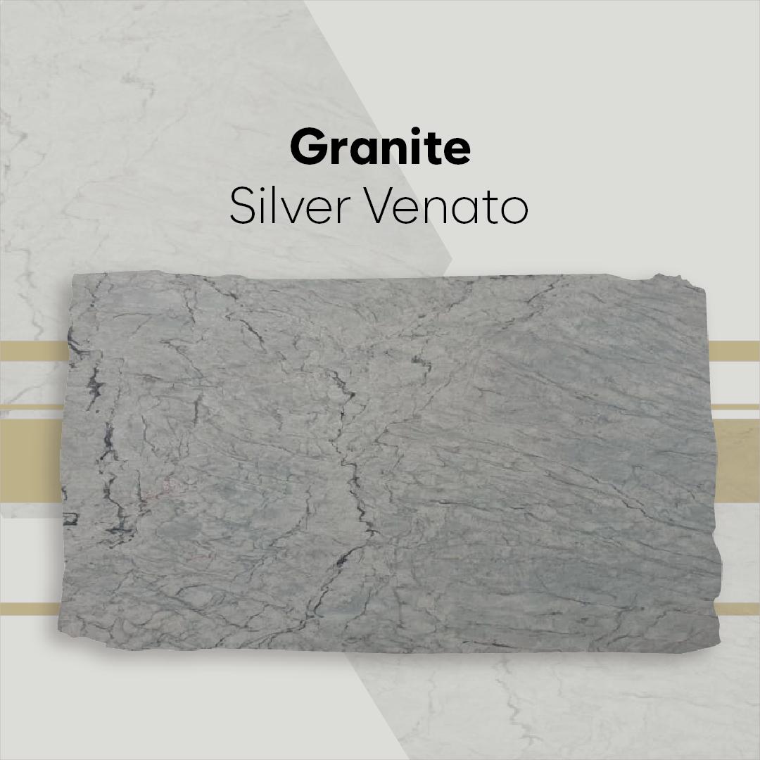 Silver Venato